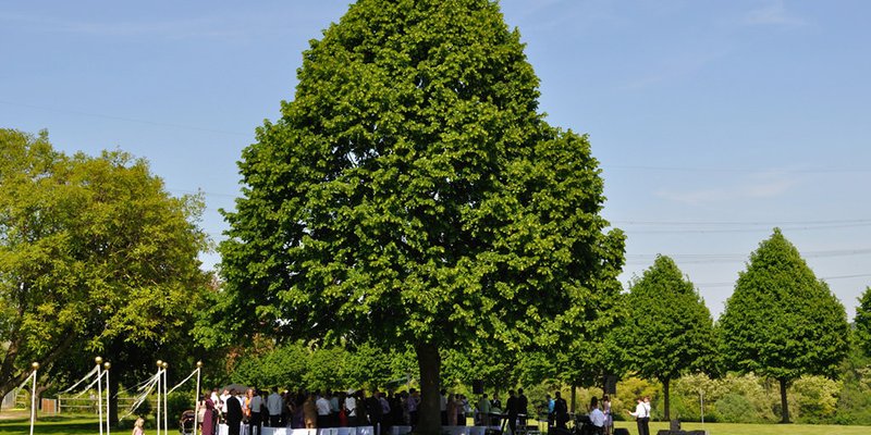 The Sonnenhof  The Sonnenhof