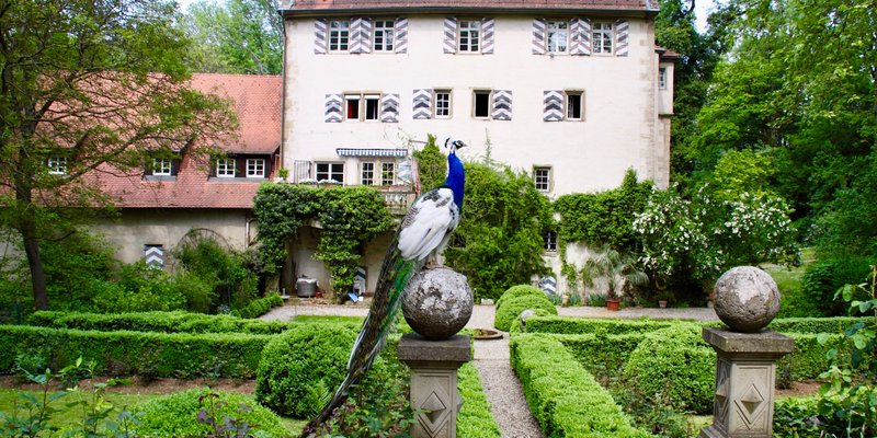 Burg mit eigenem Weingut und schönem Park Burg mit eigenem Weingut und schönem Park