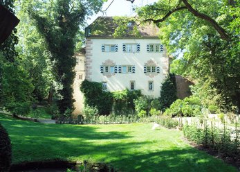 Burg mit eigenem Weingut und schönem Park